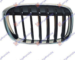 Prasco Car Front Mask Decoration