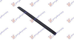 Prasco Door molding Car for Skoda Roomster