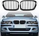 Διακοσμητική Μάσκα Αυτοκινήτου BMW Σειρά 5 (E39)