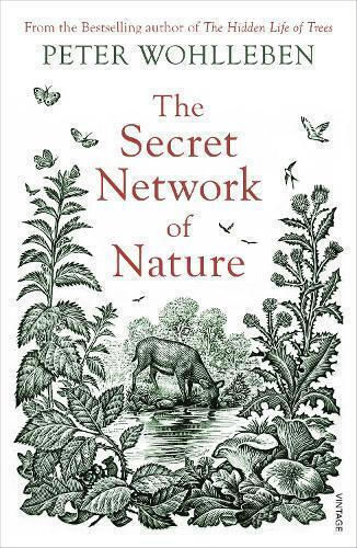 The Secret Network of Nature