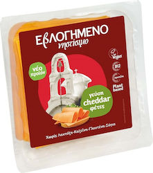 Φυτικό αναπλήρωμα με άρωμα cheddar σε φέτες ΕβΛΟΓΗΜΕΝΟ Νηστίσιμο (10 φέτες) (200 g) Φυτικό αναπλήρωμα με άρωμα cheddar σε φέτες ΕβΛΟΓΗΜΕΝΟ Νηστίσιμο (10 φέτες) (200 g)