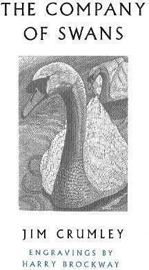 The Company of Swans