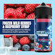 Dejavu Flavor Shot 25ml 1τμχ