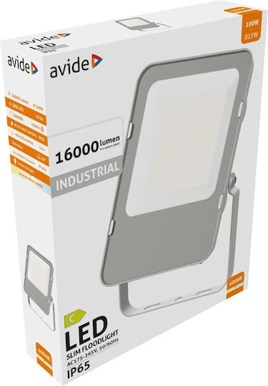 Avide AILFLNW-100W Waterproof LED Floodlight 100W Natural White 4000K IP65