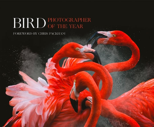 Bird Photographer Of The Year, Sammlung 3 Bird Photographer Of The Year, Sammlung 3