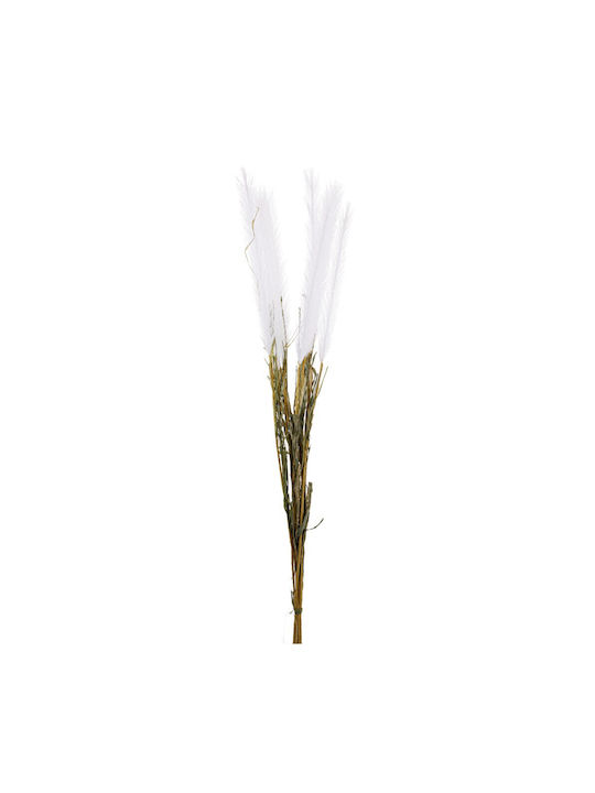 Arpimex Srl Τεχνητό Φυτό Pampas grass 86cm