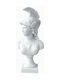 Decorative Bust made of Stone Athena Goddess 38cm 1pcs