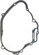 Piaggio Carter Engine Gasket 270-075802