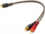 CTC-300 Converter RCA female to RCA 2x male