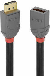 Lindy 36496 DP Male - DP Female 1m