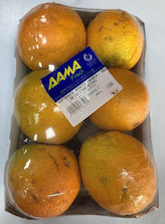Πορτοκάλια Βαλέντσια για Χυμό Ελληνικά (ελάχιστο βάρος 1,25Κg)