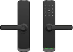 Elmark Electronic Lock with Bluetooth