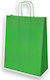 Papiertüten für Verpackungen mit Griff Grüne 18x8x22cm 300Stück