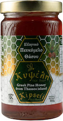 Regina Μέλι Πεύκου 900gr