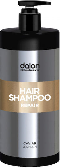 Dalon Hair Shampoos Glanz 1000ml