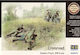 Master Box Φιγούρα Μοντελισμού Crossroad Eastern Front Wwii Era σε Κλίμακα 1:35