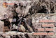 Mars Figures Φιγούρα Μοντελισμού σε Κλίμακα 1:72