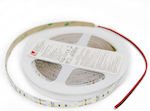 Adeleq LED Strip Power Supply 24V with Natural White Light Length 5m SMD2835