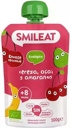 Smileat Пюре за 6+ Месеца 100гр Smileat Пюре за 6+ Месеца 100гр
