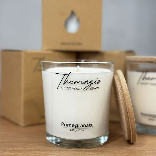 Themagio Αρωματικό Σόγιας σε Βάζο Pomegranate