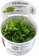 Tropica 1-2 Grow