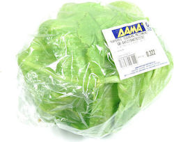 Μαρούλι Άισμπεργκ (ελάχιστο βάρος 500g,1τεμ)