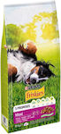 Purina Friskies 10kg Dry Food Gluten-Free for Adult Large Breed Dogs with Meat, Beef, Tuna, Calf and Vegetables