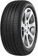 Minerva F205 255/30R19 91Y XL Θερινό Λάστιχο για Επιβατικό Αυτοκίνητο