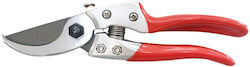 Pruning Shears