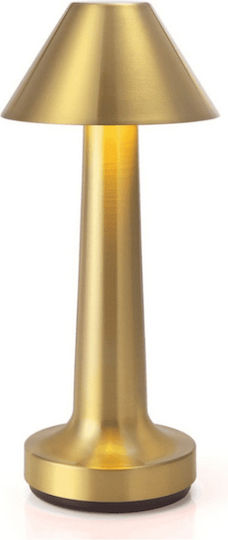 Smarteo Dekorative Lampe Gold