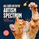All Cats Are On The Autism Spectrum Kathy Hoopmann 2020