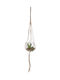 PanOikos Hanging Planter Glass Beige