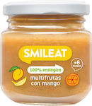 Smileat Cremă de fructe Fără gluten pentru 6m+ 130gr