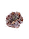 Peony head, artificial, purple-brown, 12cm