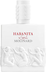Molinard Habanita L Esprit Eau De Parfum 75ml Molinard Habanita L Esprit Eau De Parfum 75ml