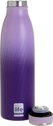 Ecolife Recyclable Bottle Thermos Stainless Ste...