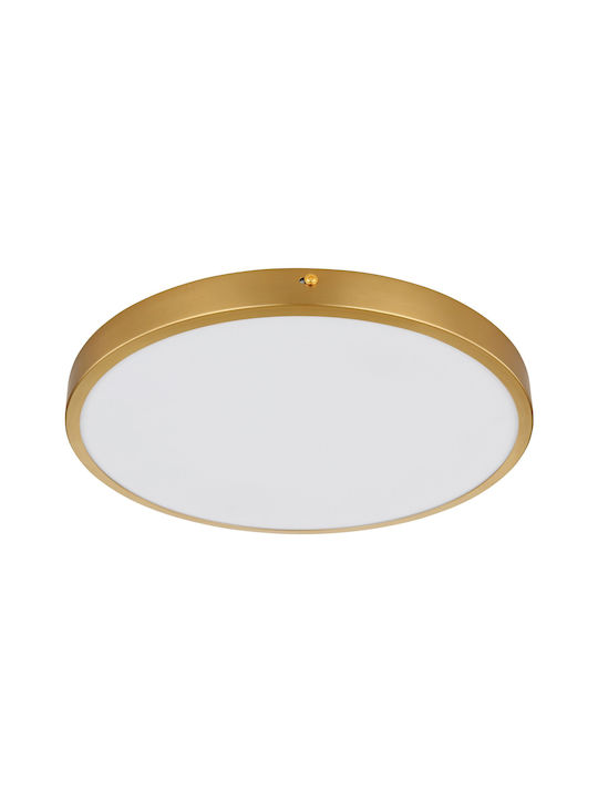 Globo Lighting Ceiling Mount Light 35cm Bronze with Integrated LED