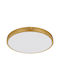 Globo Lighting Ceiling Mount Light 35cm Bronze with Integrated LED