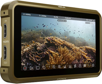 Atomos Ninja Monitor - Rekorder ATOMNJA004