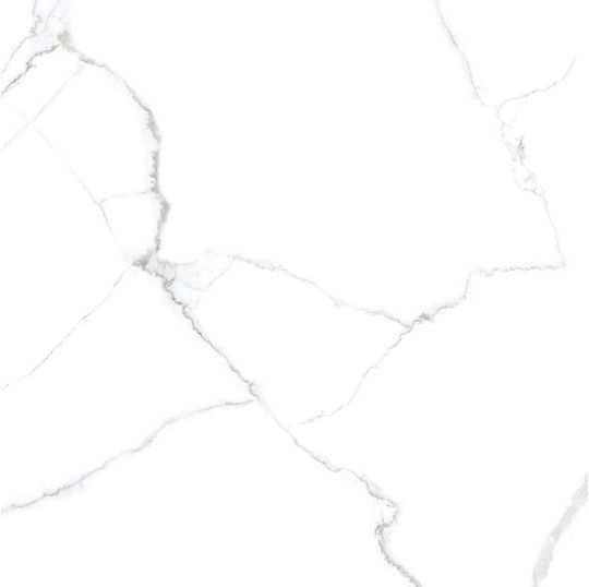 Panthermica Fliese Boden / Wand Innenbereich 160x80cm White
