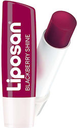 Liposan Fruity Shine Lip Balm Blackberry Shine 4.8gr