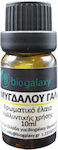 Biogalaxy Αρωματικό Έλαιο Καρύδας 10ml