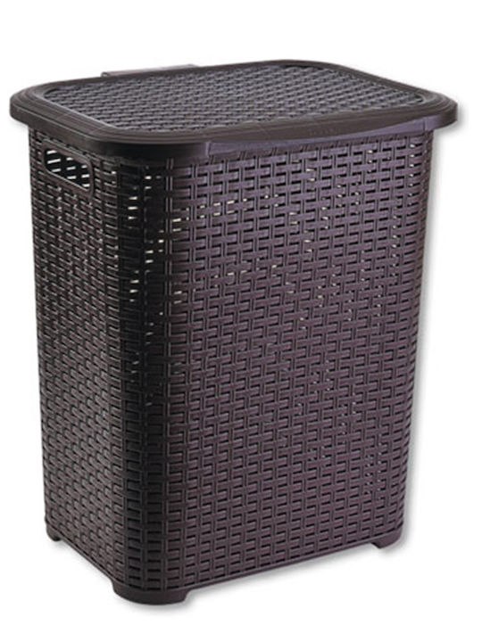 TnS Plastic Laundry Basket Brown