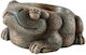 Exo Terra Zubehör für Reptilienterrarium