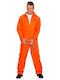 Carnival Costume