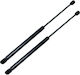 Prasco Trunk Shock for Peugeot 208
