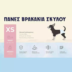 Animal Βρακάκι Σκύλου 20τμχ