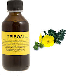 Tincture Clover Tincture 100ml Tincture Clover Tincture 100ml