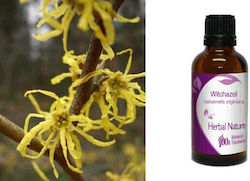 Ethereal Nature Witch Hazel Tincture 100ml Energie