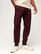 Sweatpants with Elastic Burgundy